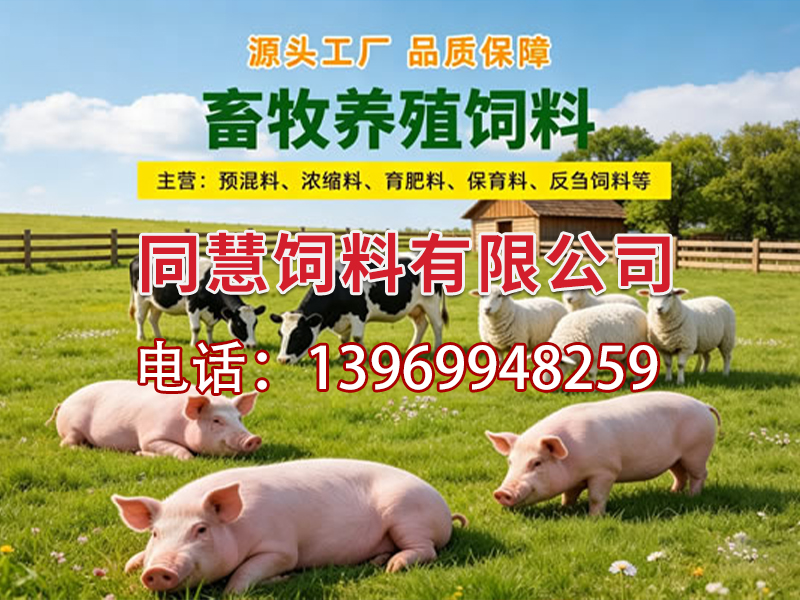 同慧饲料有限公司